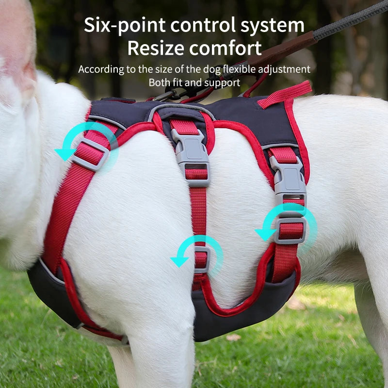 Harness for outdoor walking, breathable, pet supplies